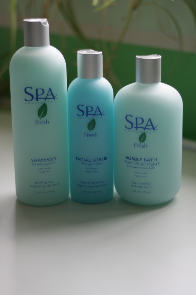 Spa shampoo, Spa facial scrub and Spa foot soak. Offering affordable pampering. Dog grooming warwick